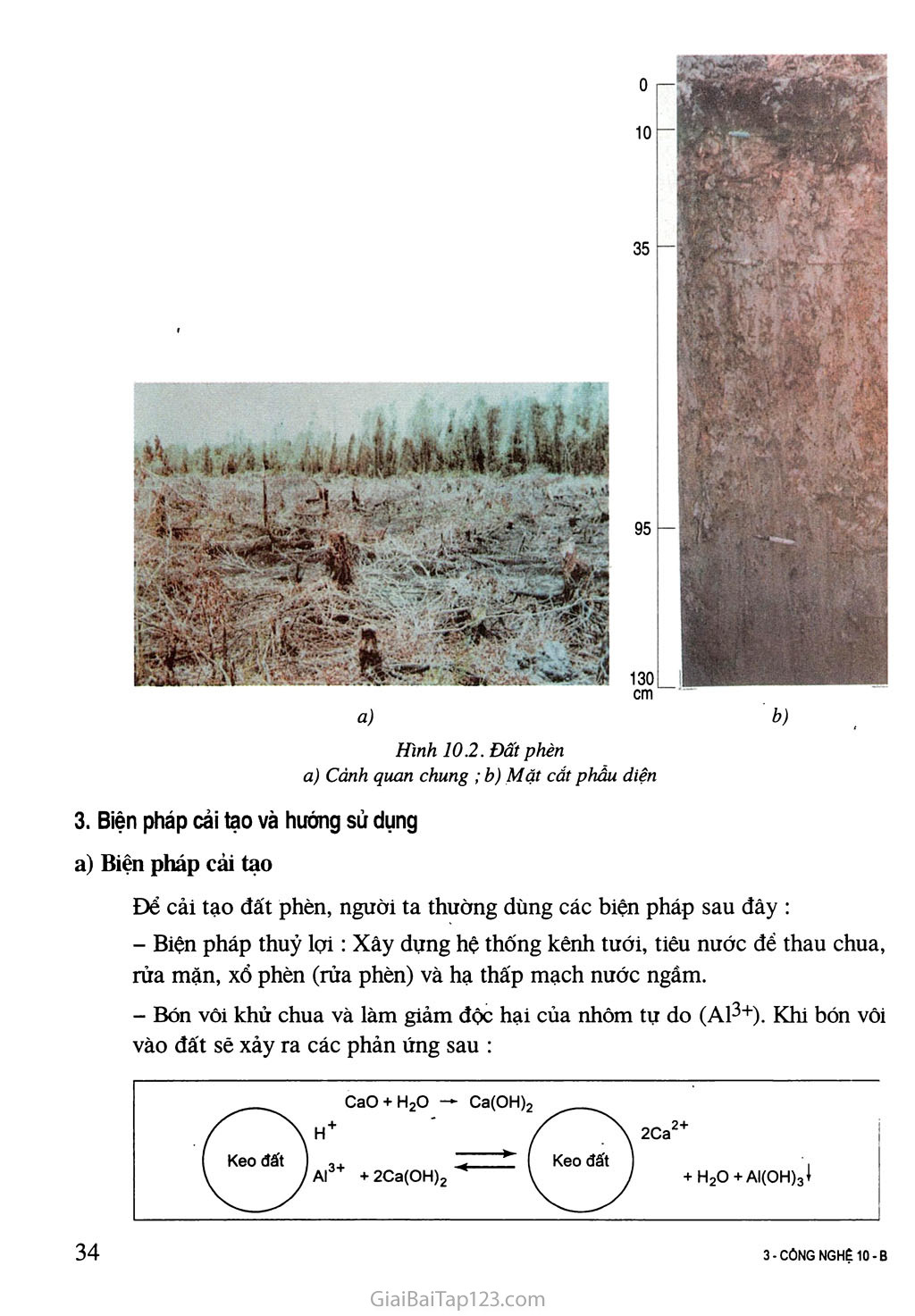 Bài 10. Biện pháp cải tạo và sử dụng đất mặn, đất phèn trang 4
