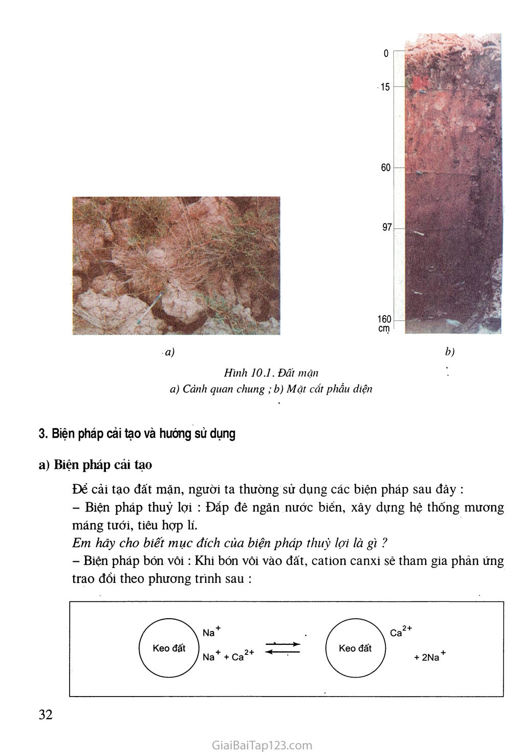 Bài 10. Biện pháp cải tạo và sử dụng đất mặn, đất phèn trang 2