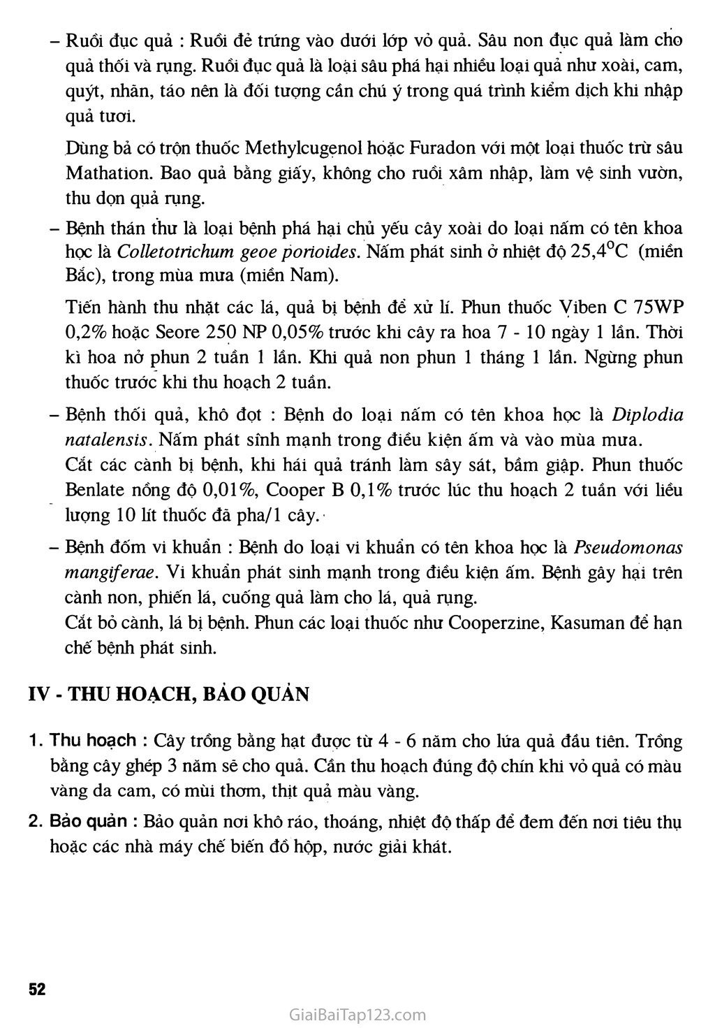 Bài 10. Kĩ thuật trồng cây xoài trang 4