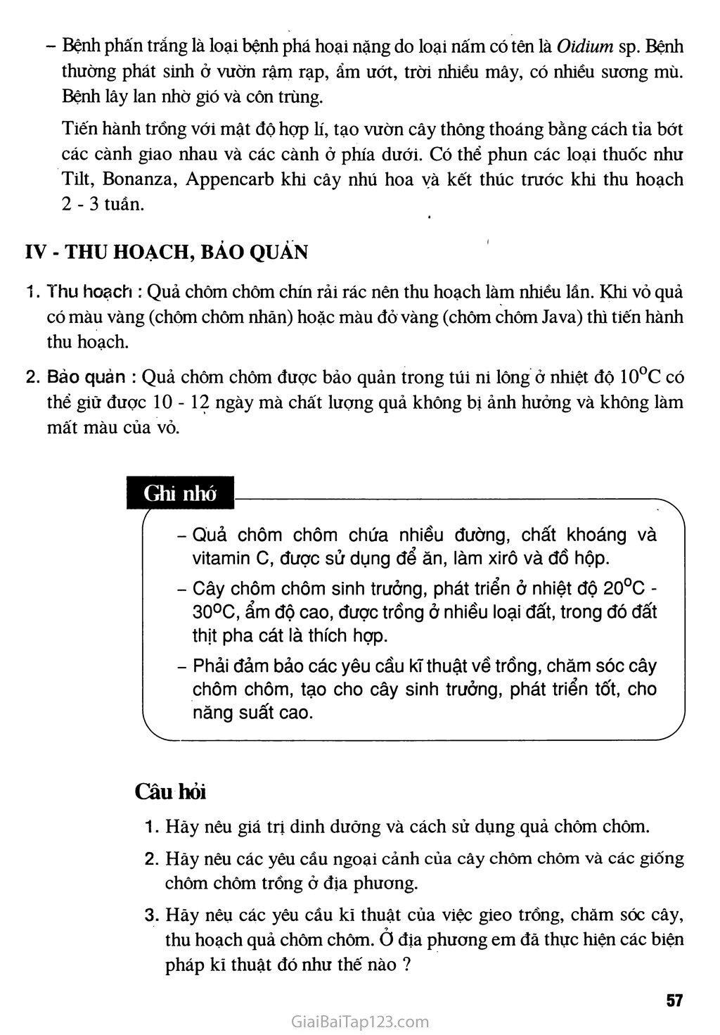 Bài 11. Kĩ thuật trồng cây chôm chôm trang 4