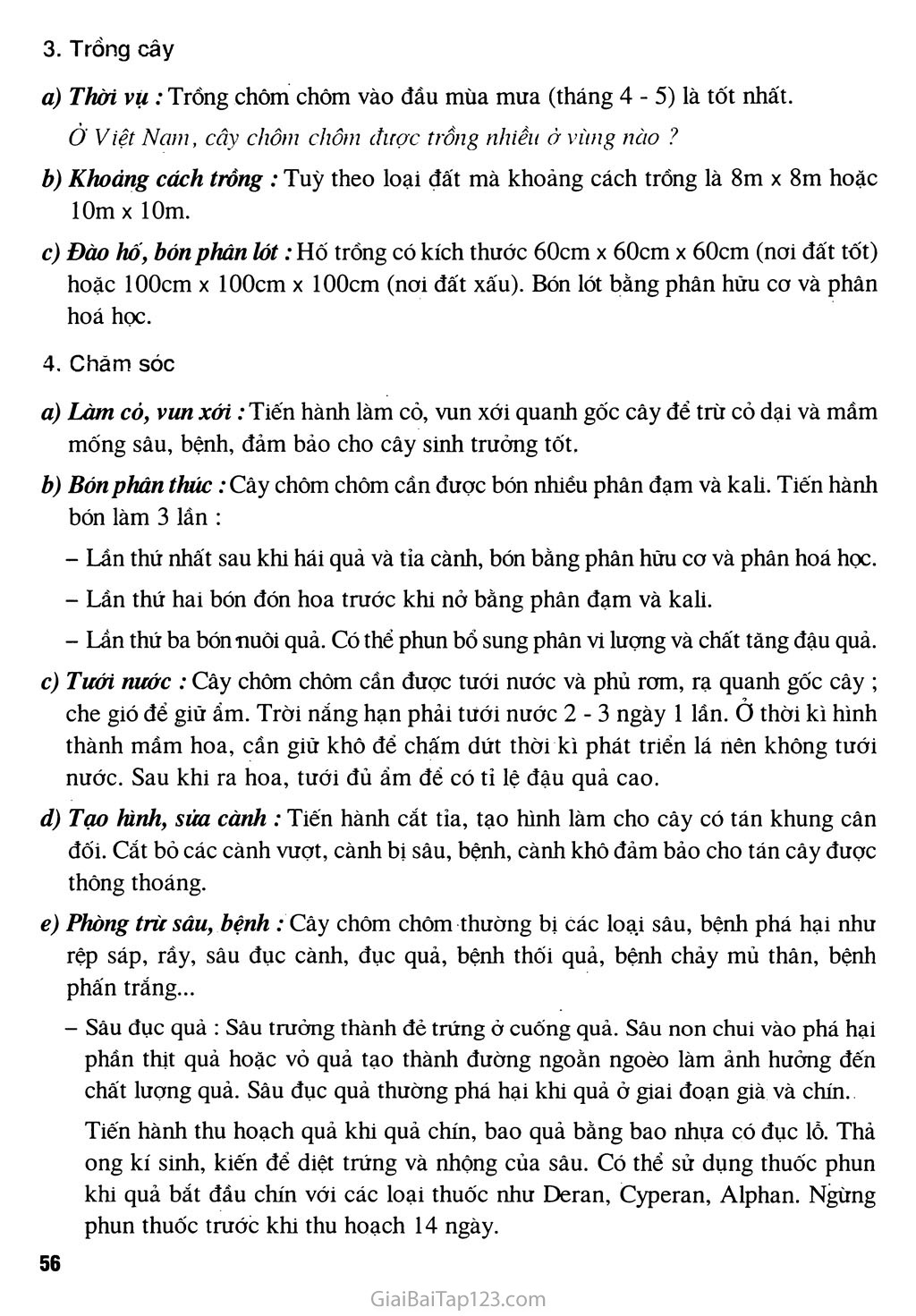 Bài 11. Kĩ thuật trồng cây chôm chôm trang 3