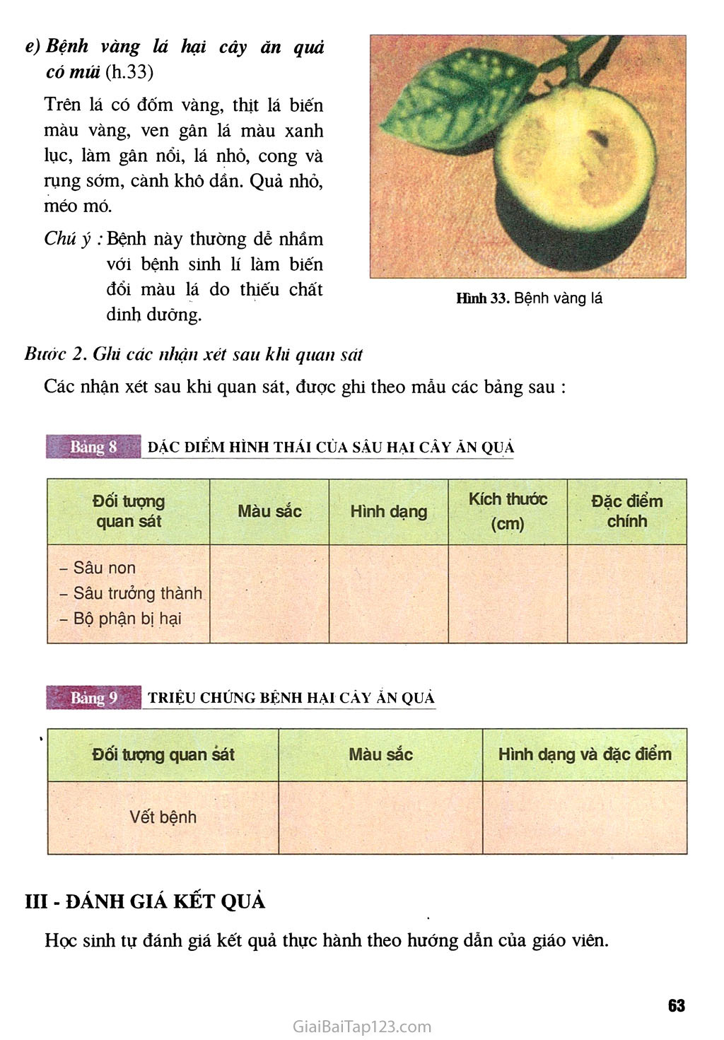 Bài 12. (Thực hành) Nhận biết một số loại sâu, bệnh hại cây ăn quả trang 6