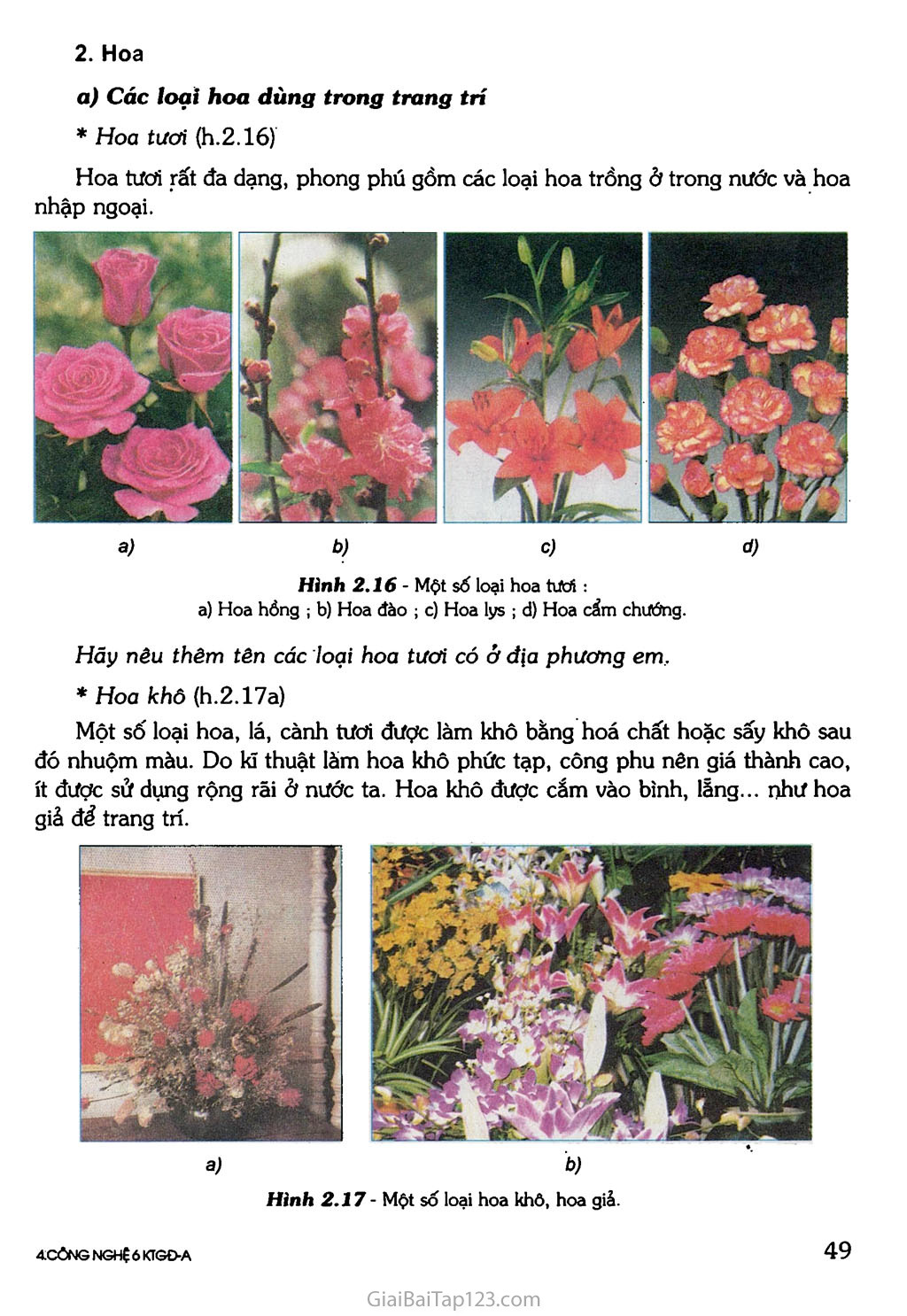 Bài 12. Trang trí nhà ở bằng cây cảnh và hoa trang 4