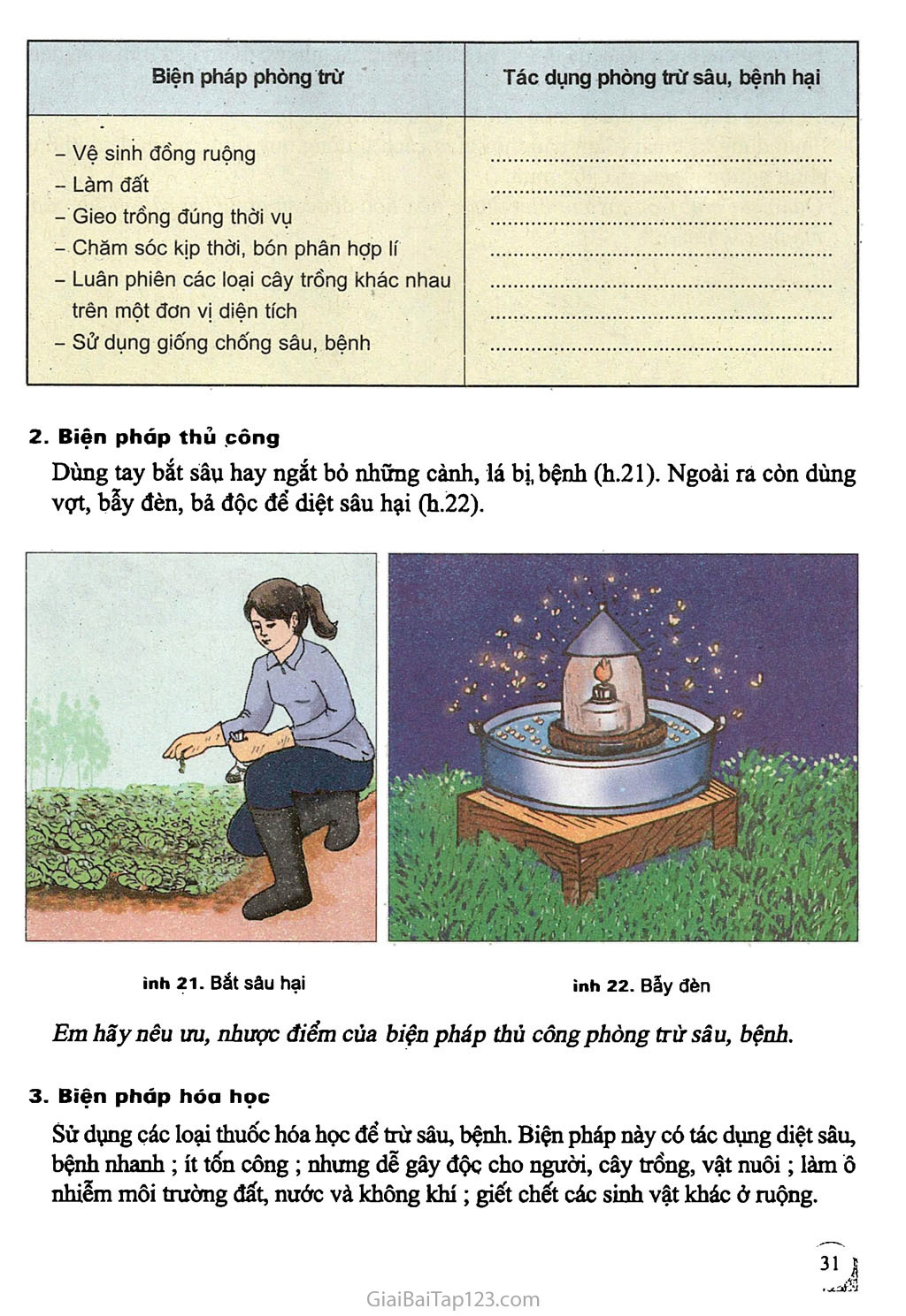 Bài 13. PHÒNG TRỪ SÂU, BỆNH HẠI trang 2