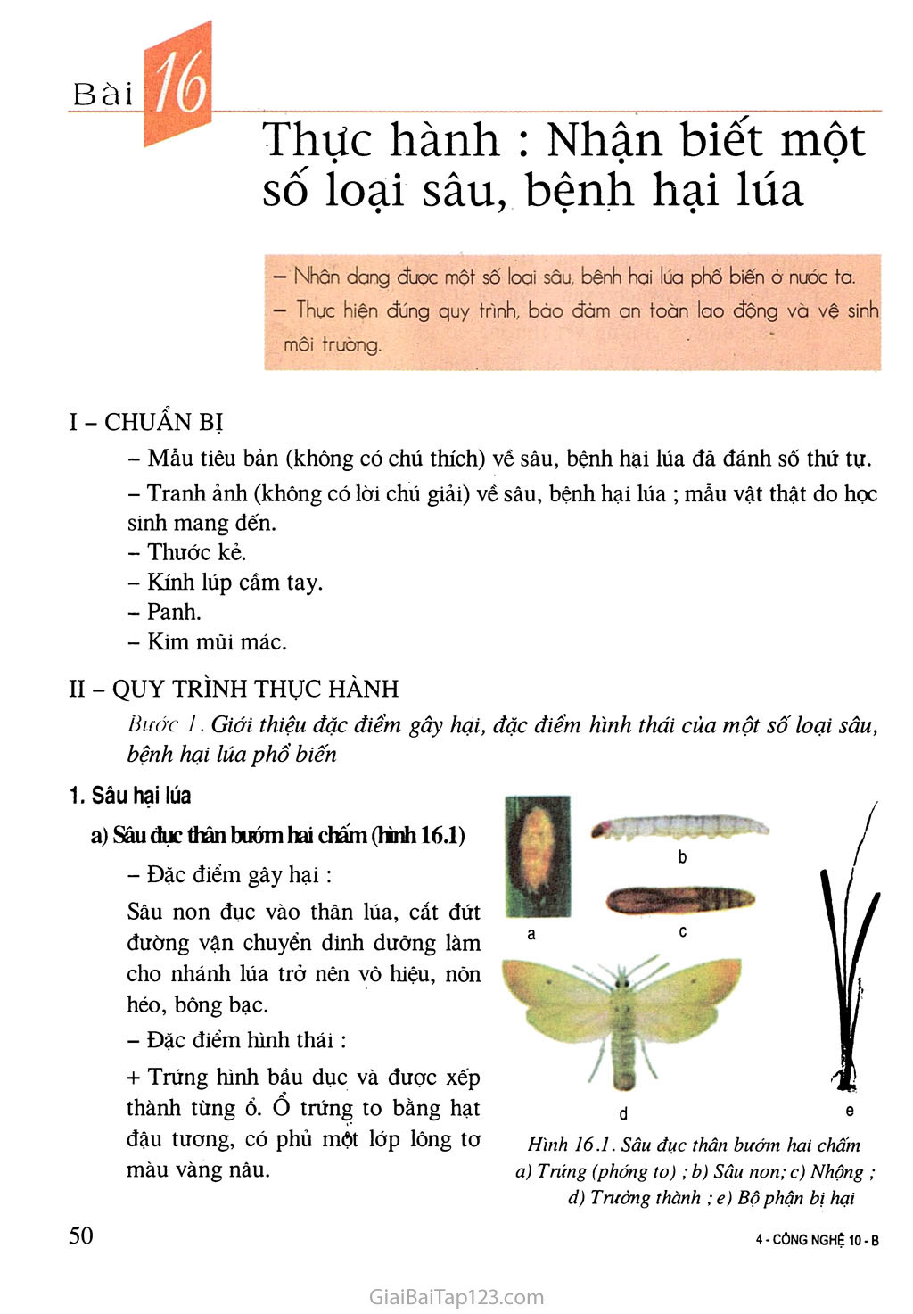Bài 16. Thực hành: Nhận biết một số loại sâu bệnh hại lúa trang 1