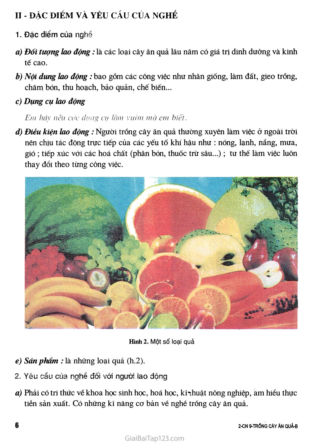 Bài 1. Giới thiệu nghề trồng cây ăn quả trang 2