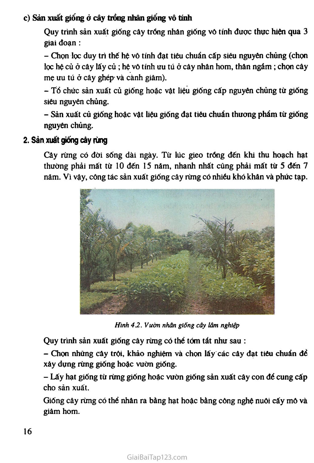 Bài 4. Sản xuất giống cây trồng (Tiếp theo) trang 2
