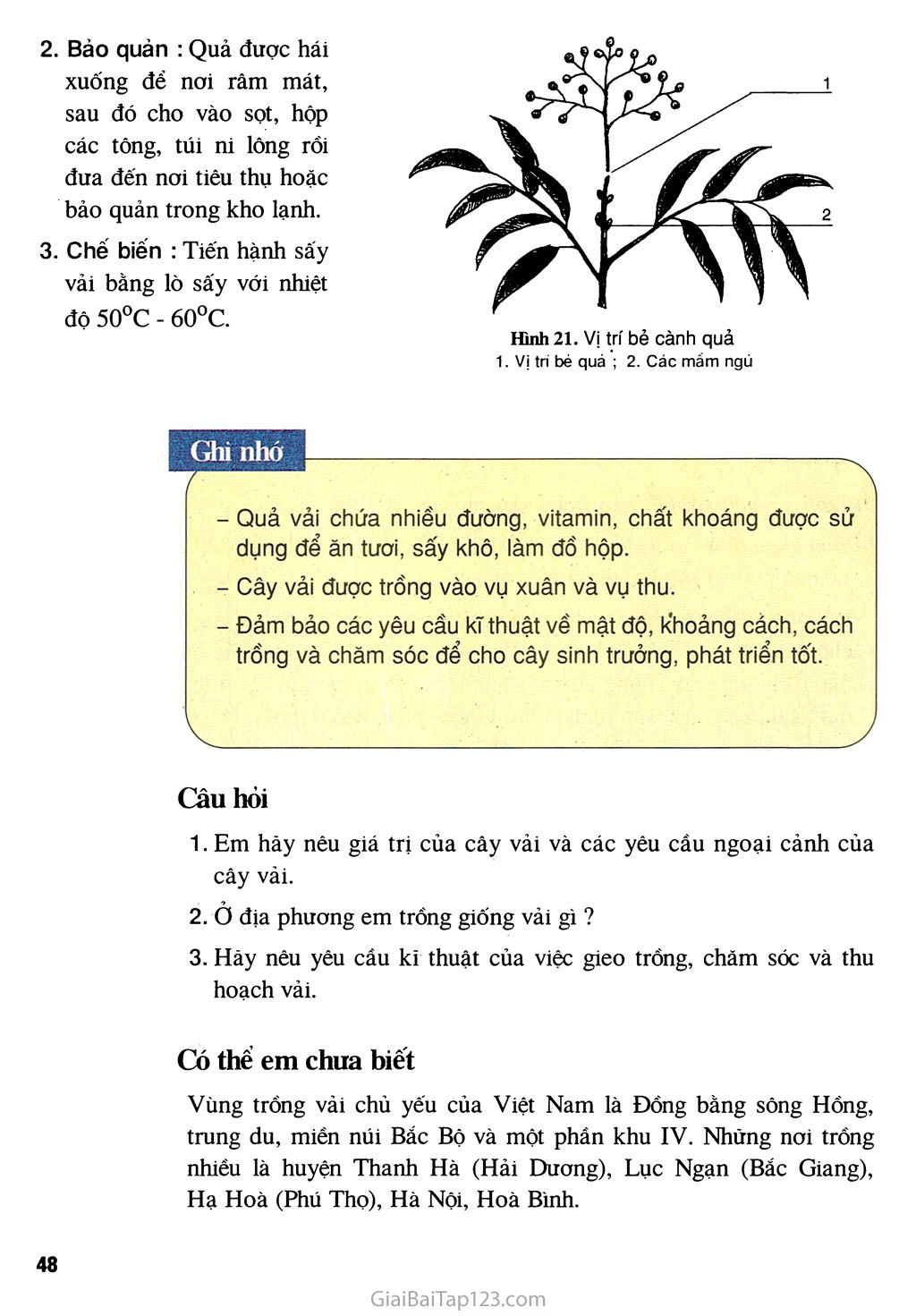 Bài 9. Kĩ thuật trồng cây vải trang 5