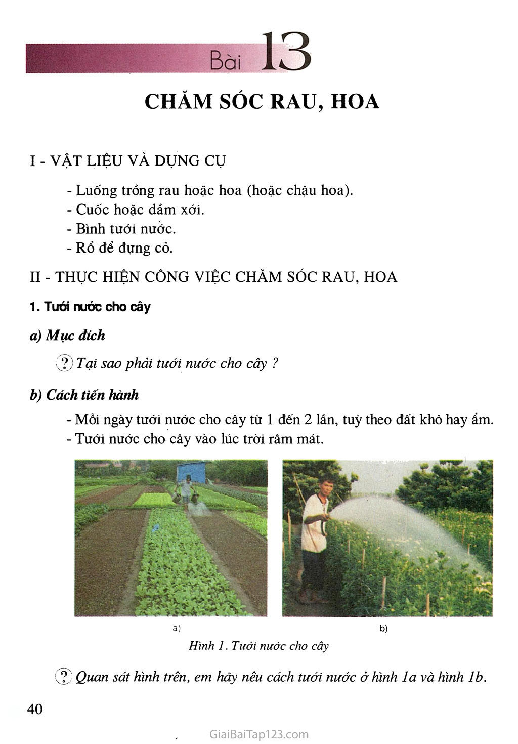 Bài 13. Chăm sóc rau, hoa trang 1