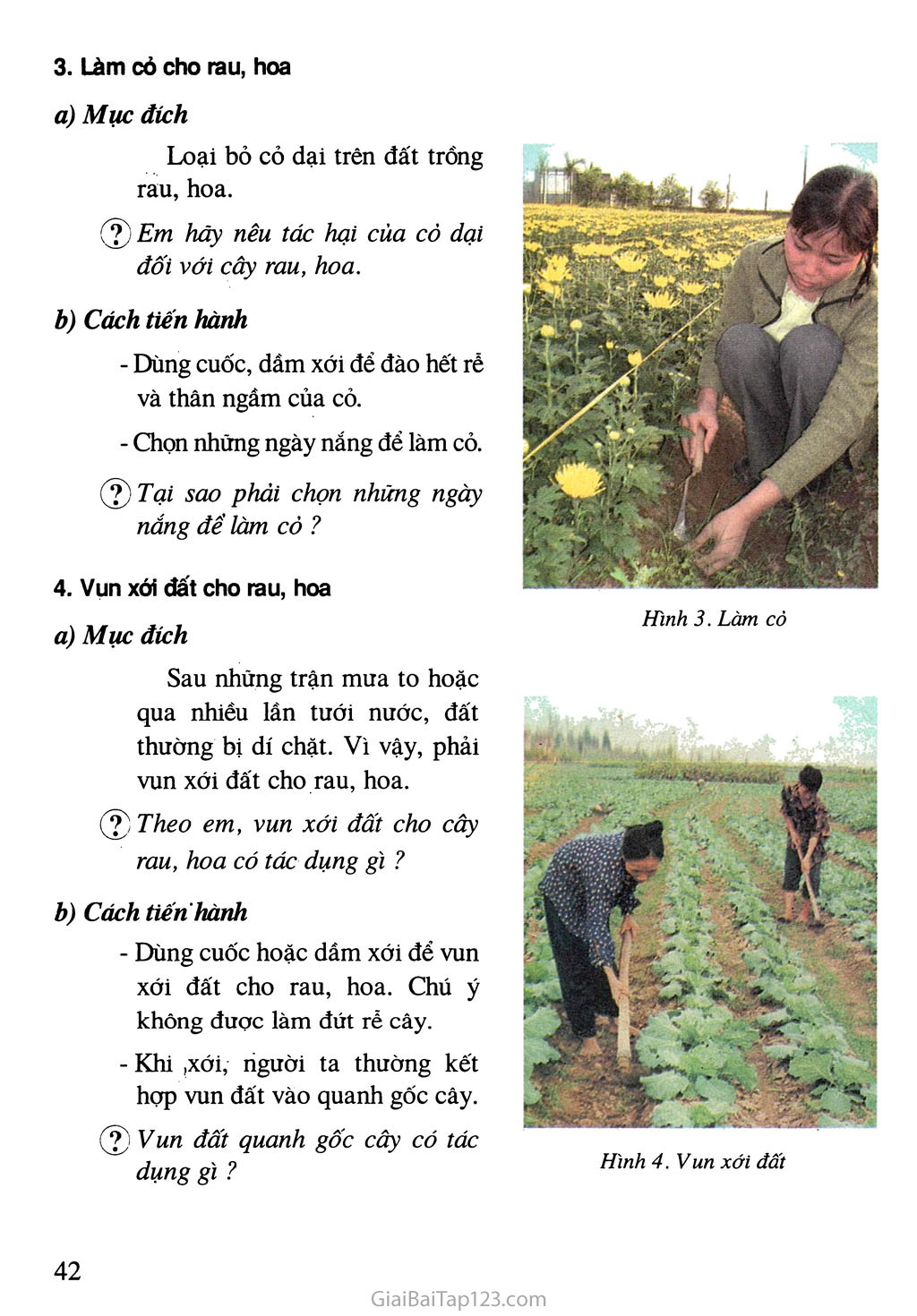 Bài 13. Chăm sóc rau, hoa trang 3