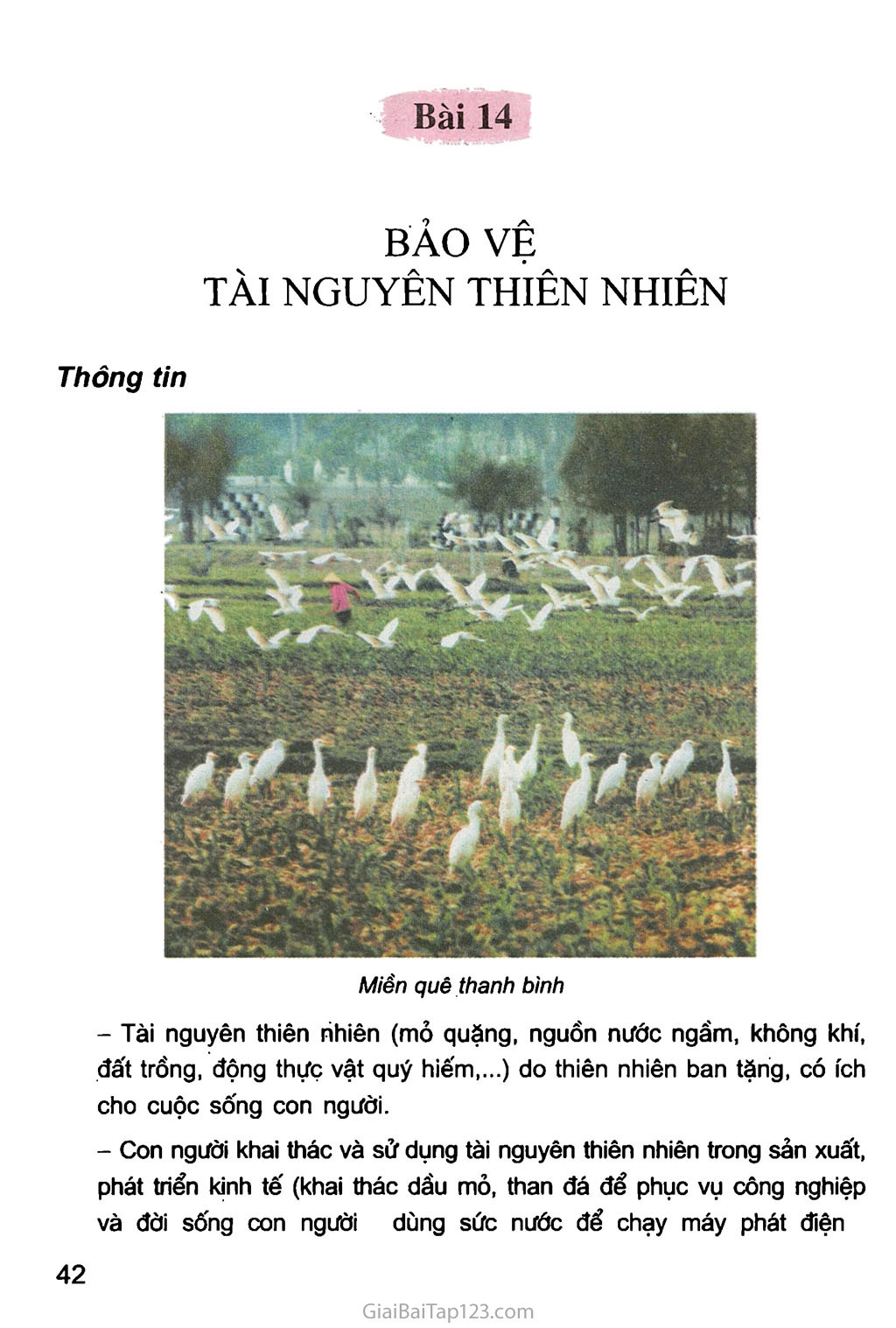Bài 14. Bảo vệ tài nguyên thiên nhiên trang 1 Bài 14. Bảo vệ tài nguyên thiên nhiên trang 1