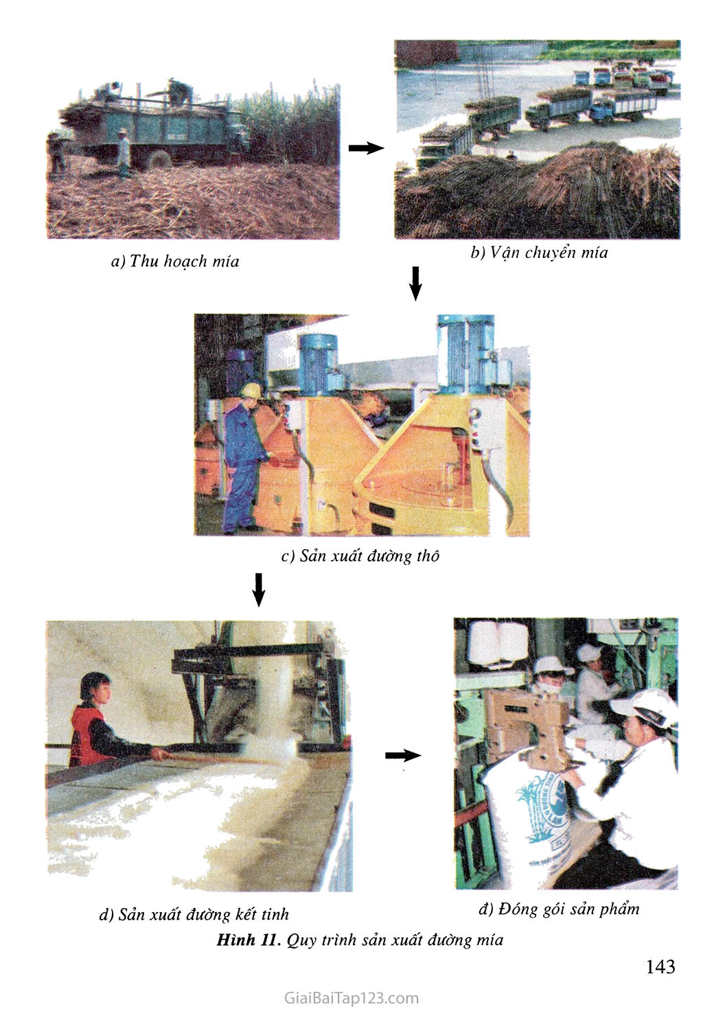 Bài 26. Người dân và hoạt động sản xuất ở đồng bằng duyên hải miền Trung (tiếp theo) trang 3
