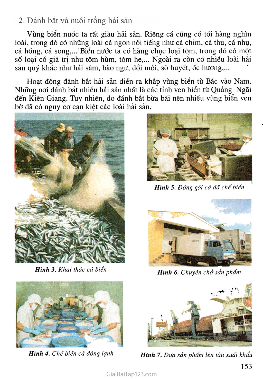 Bài 30. Khai thác khoáng sản và hải sản ở vùng biển Việt Nam trang 2