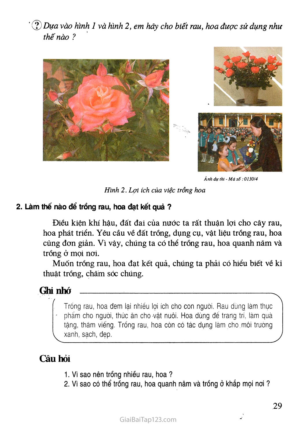 Bài 9. Lợi ích của việc trồng rau, hoa trang 3