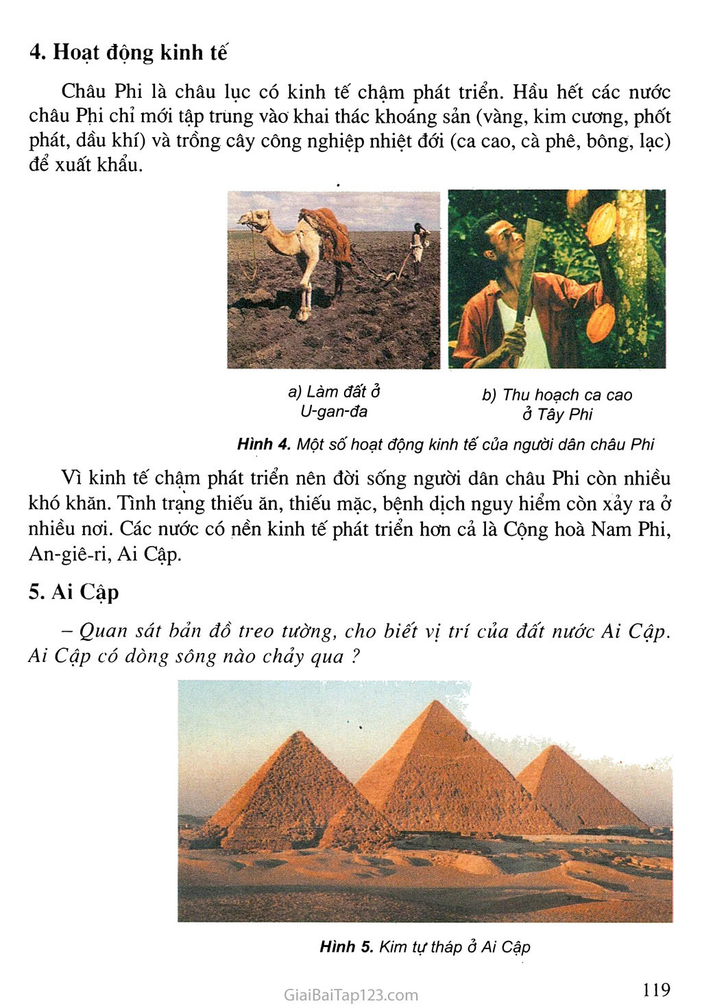 Bài 24. Châu Phi (tiếp theo) trang 2
