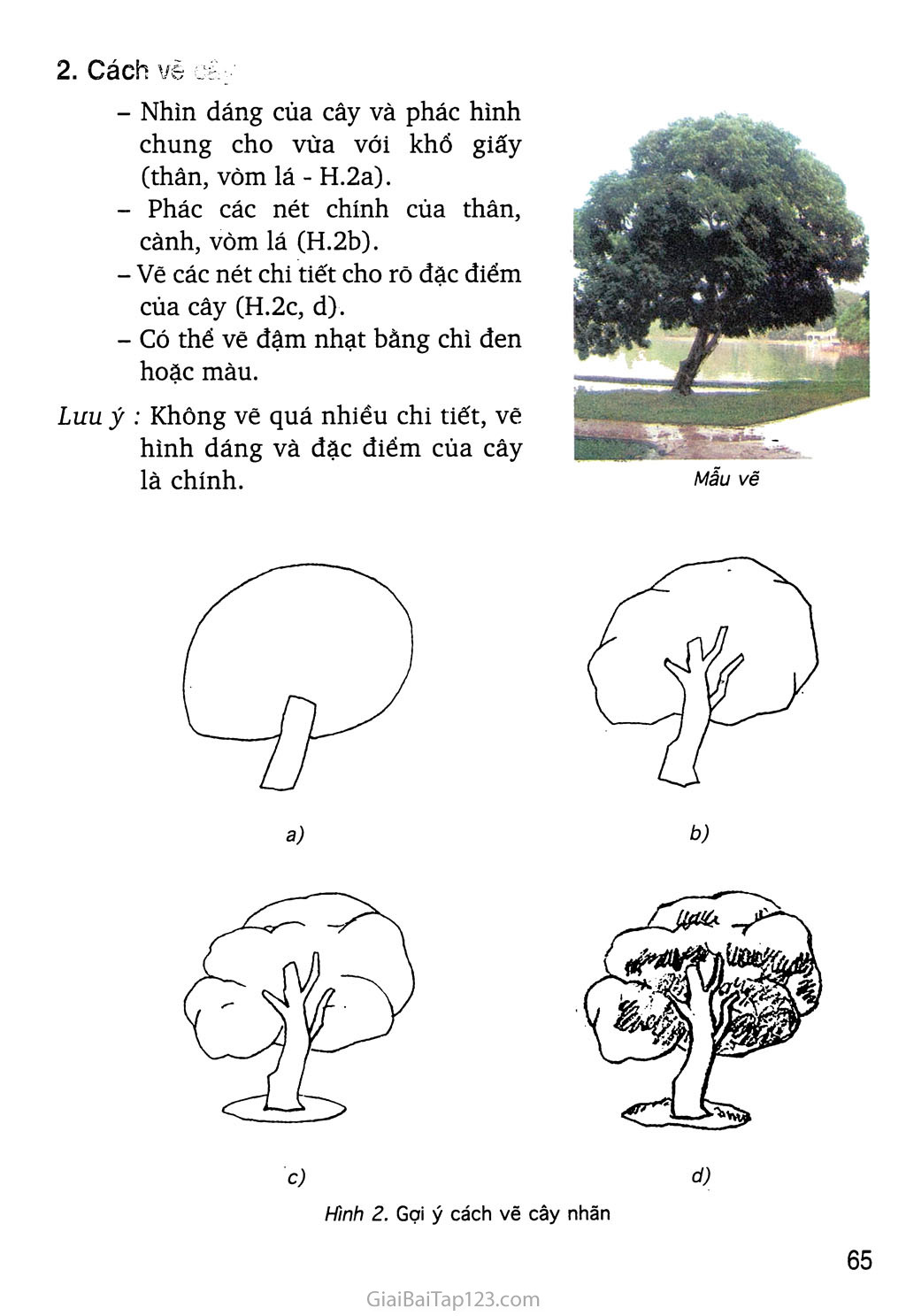 SGK Mĩ Thuật 4 - Bài 27: Vẽ theo mẫu Vẽ cây