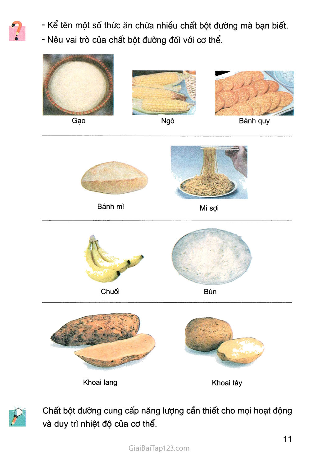 Bài 4. Các chất dinh dưỡng có trong thức ăn. Vai trò của chất bột đường trang 2
