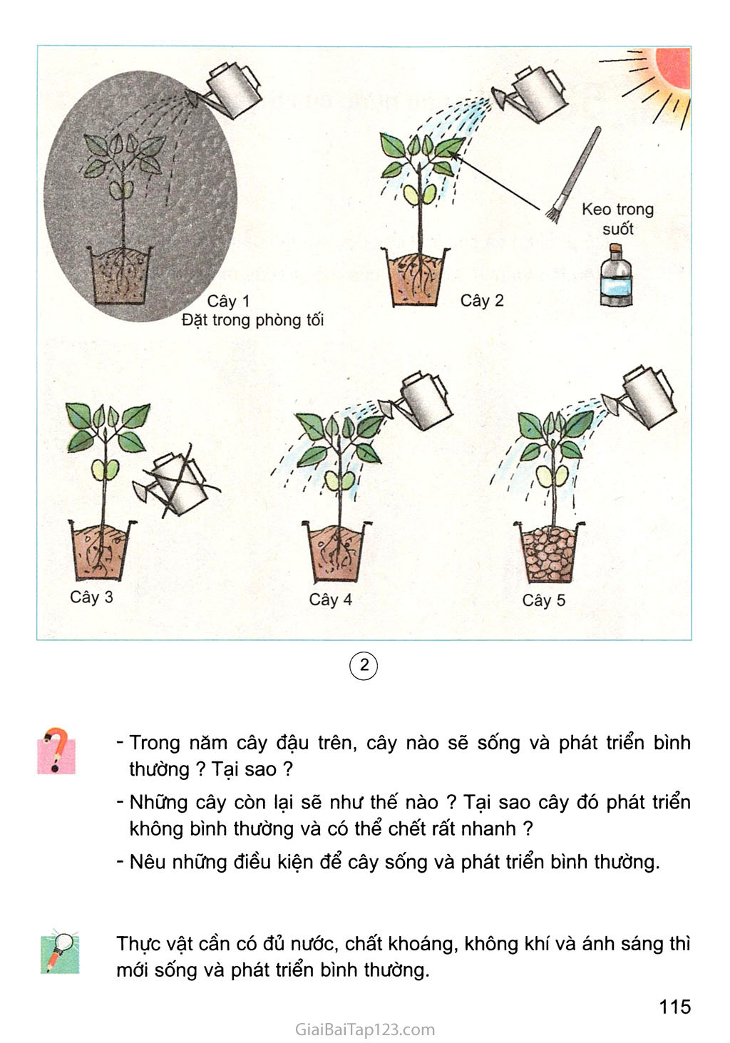 Bài 57. Thực vật cần gì để sống? trang 2