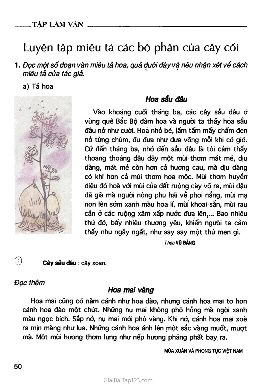 SGK Tiếng Việt 4 - Tuần 23 - Chủ điểm: Vẻ đẹp muôn màu
