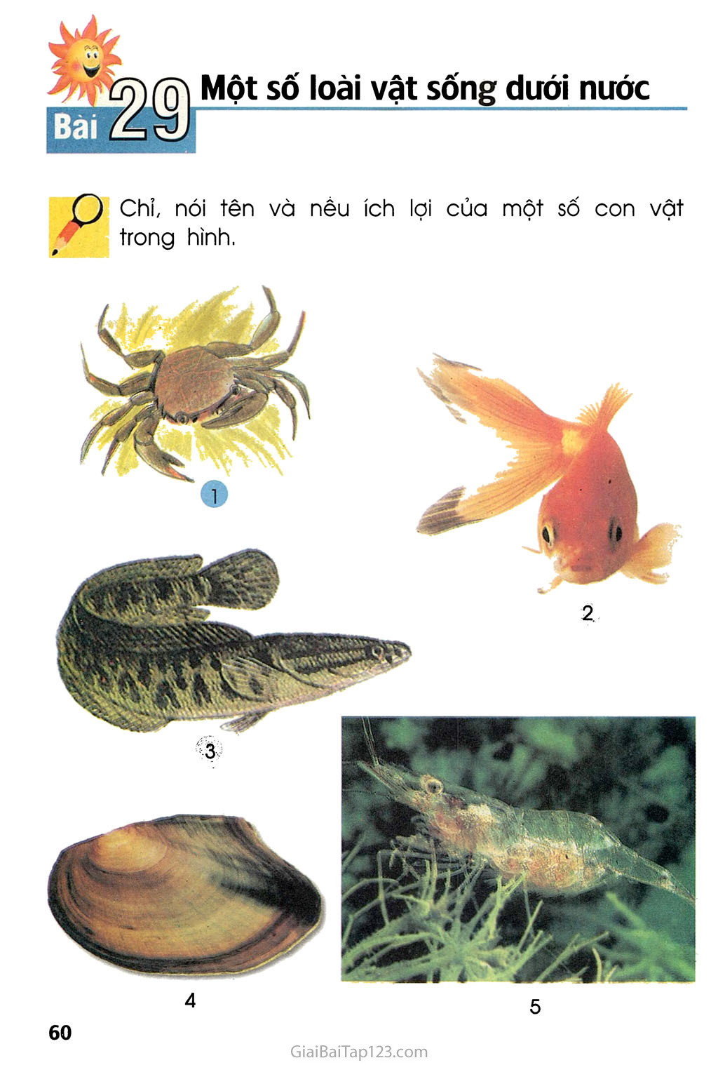 Bài 29. Một số loài vật sống dưới nước trang 1