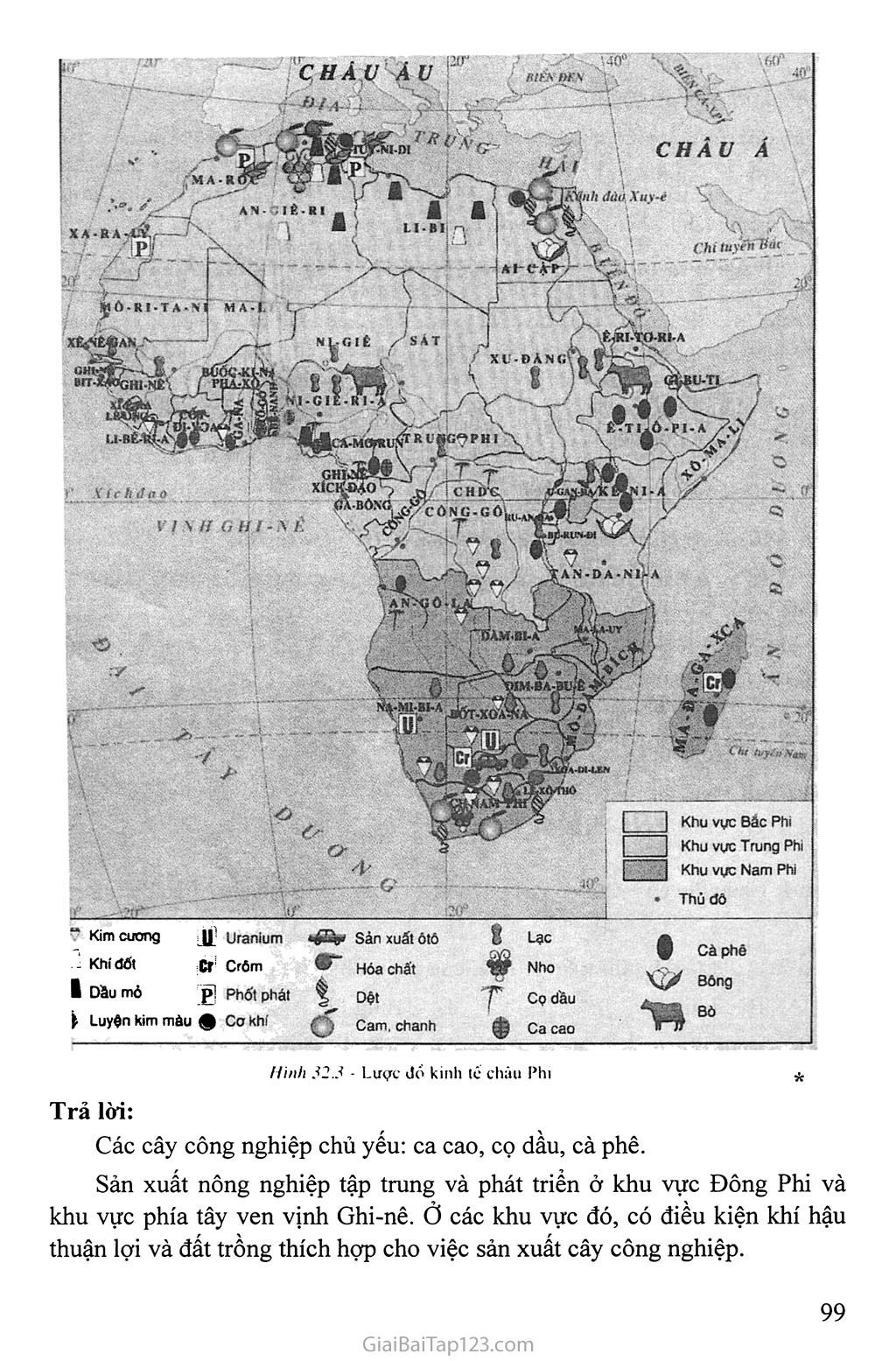 Bài 32: Các khu vực châu Phi trang 3